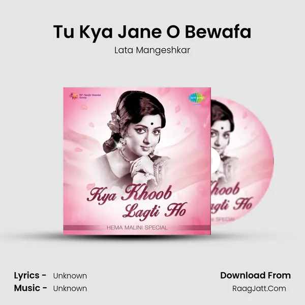 Tu Kya Jane O Bewafa Cover