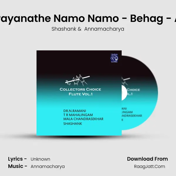 Narayanathe Namo Namo - Behag - Adi (Live) MP3 Song by Shashank Cover