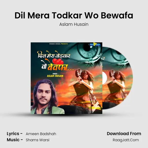 Dil Mera Todkar Wo Bewafa MP3 Song by Aslam Husain Cover