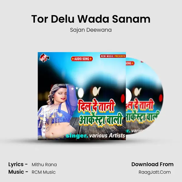 Tor Delu Wada Sanam MP3 Song by Sajan Deewana Cover
