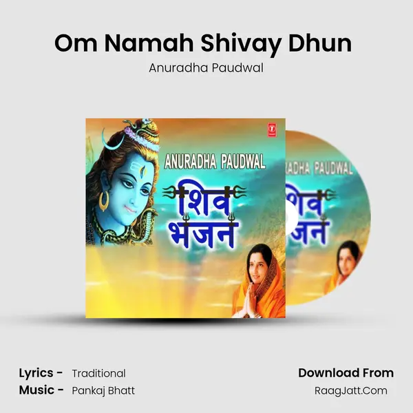 Om Namah Shivay Dhun (From "Om Namah Shivay") Cover
