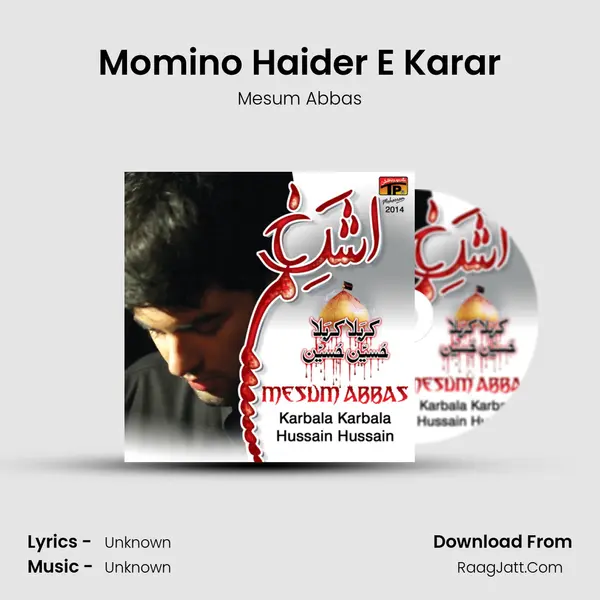 Momino Haider E Karar MP3 Song by Mesum Abbas Cover