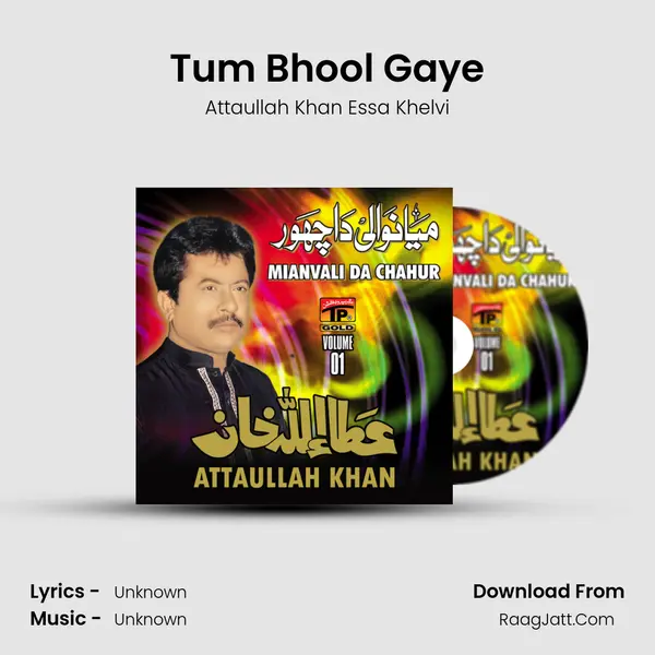 Tum Bhool Gaye MP3 Song by Attaullah Khan Essa Khelvi Cover