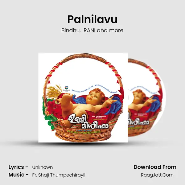Palnilavu MP3 Song by Bindhu Cover