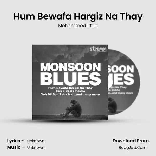 Hum Bewafa Hargiz Na Thay Cover