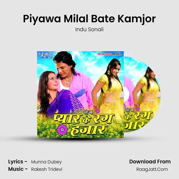 Piyawa Milal Bate Kamjor MP3 Song by Indu Sonali Cover