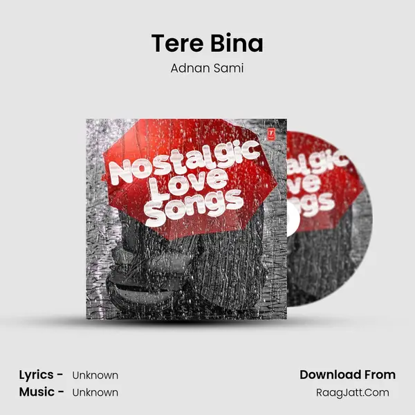 Tere Bina MP3 Song by Adnan Sami Cover