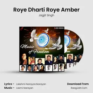 Roye Dharti Roye Amber Cover