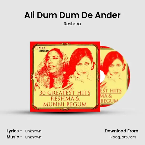 Ali Dum Dum De Ander Cover