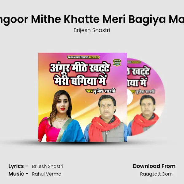 Angoor Mithe Khatte Meri Bagiya Main mp3 song