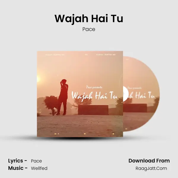 Wajah Hai Tu mp3 song