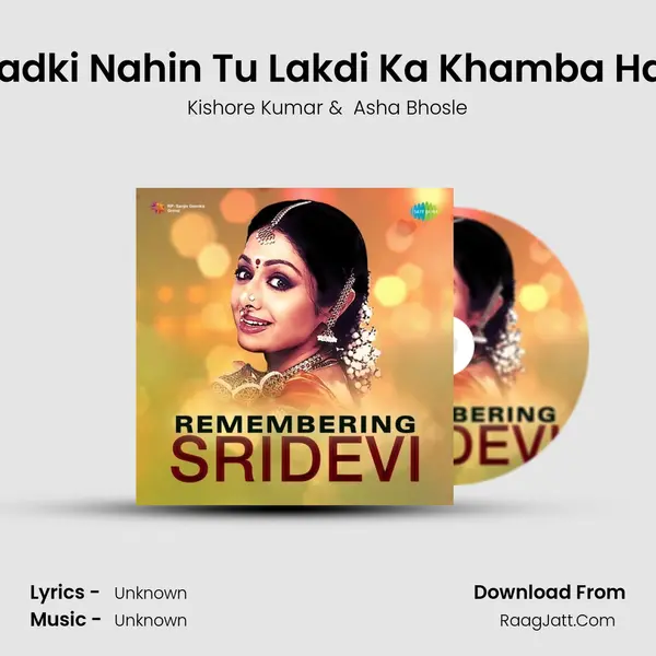 Ladki Nahin Tu Lakdi Ka Khamba Hai Cover