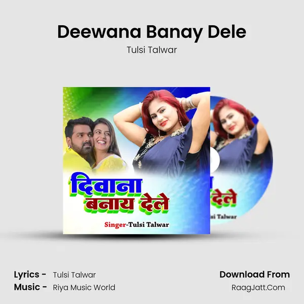 Deewana Banay Dele MP3 Song by Tulsi Talwar Cover