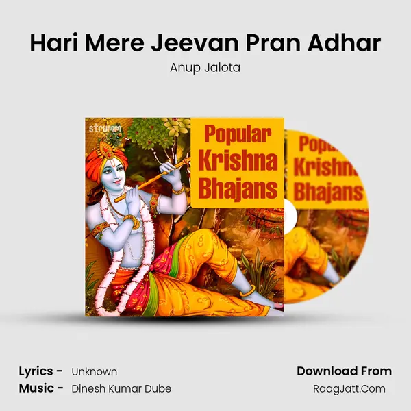 Hari Mere Jeevan Pran Adhar mp3 song