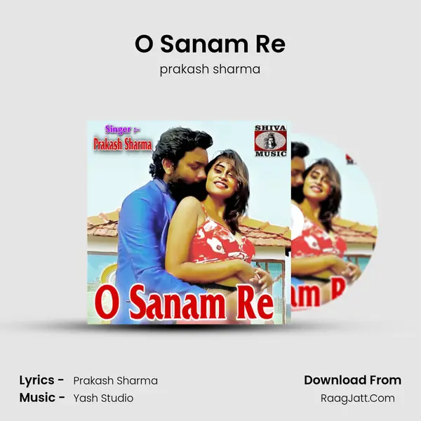 O Sanam Re mp3 song