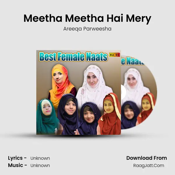 Meetha Meetha Hai Mery mp3 song