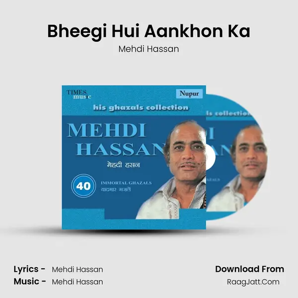 Bheegi Hui Aankhon Ka MP3 Song by Mehdi Hassan Cover