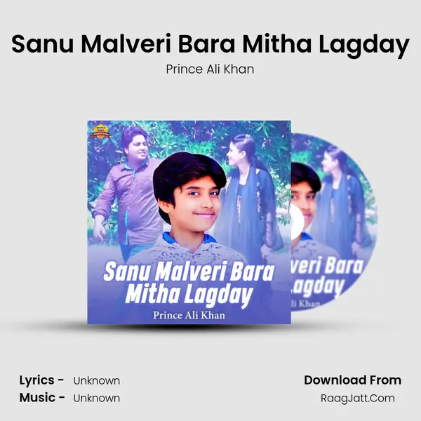 Sanu Malveri Bara Mitha Lagday - Single - Prince Ali Khan