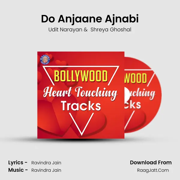 Do Anjaane Ajnabi Cover
