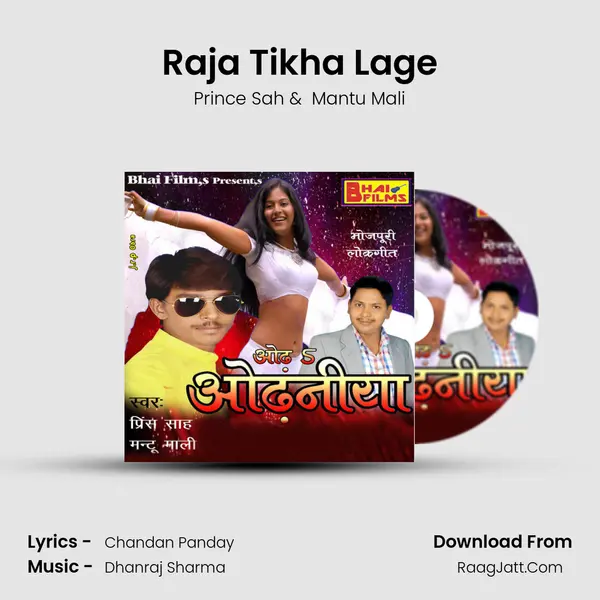 Raja Tikha Lage MP3 Song by Prince Sah Cover