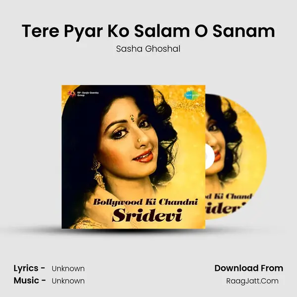 Tere Pyar Ko Salam O Sanam Cover