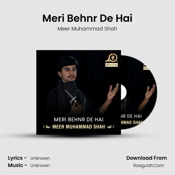 Meri Behnr De Hai - Single - Meer Muhammad Shah