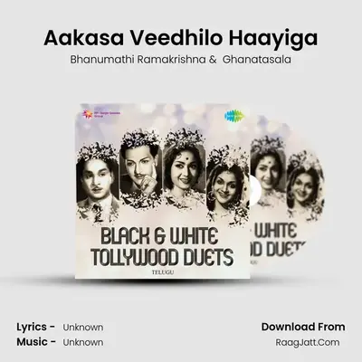 Aakasa Veedhilo Haayiga Cover