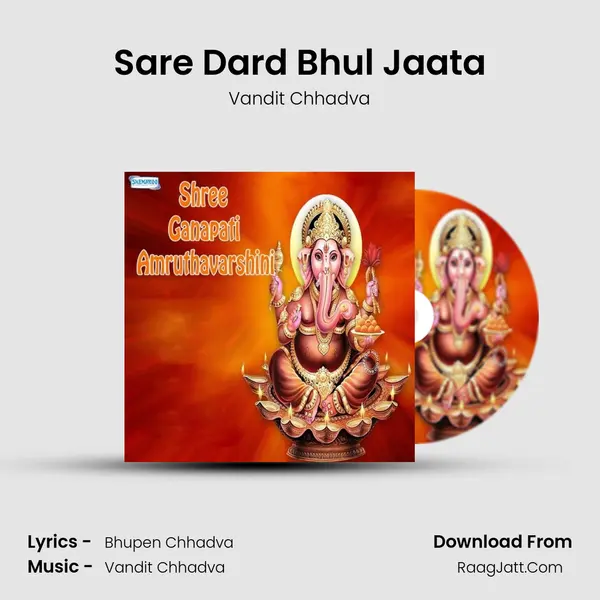 Sare Dard Bhul Jaata MP3 Song by Vandit Chhadva Cover