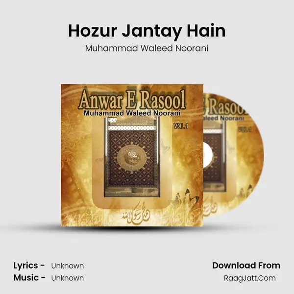 Hozur Jantay Hain MP3 Song by Muhammad Waleed Noorani Cover