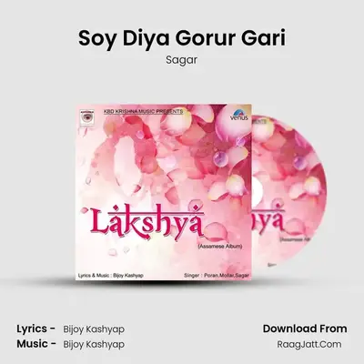 Soy Diya Gorur Gari MP3 Song by Sagar Cover