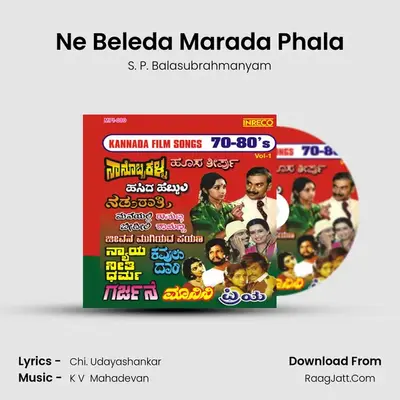 Ne Beleda Marada Phala MP3 Song by S. P. Balasubrahmanyam Cover