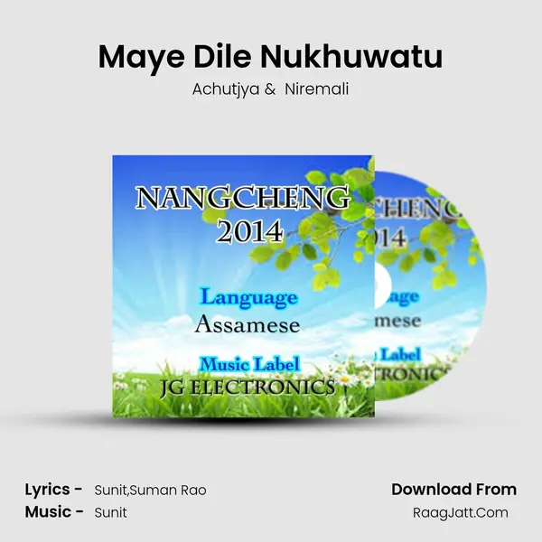 Maye Dile Nukhuwatu MP3 Song by Achutjya Cover