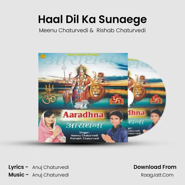 Haal Dil Ka Sunaege MP3 Song by Meenu Chaturvedi Cover