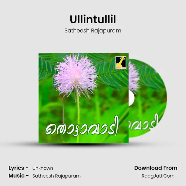Ullintullil MP3 Song by Satheesh Rajapuram Cover