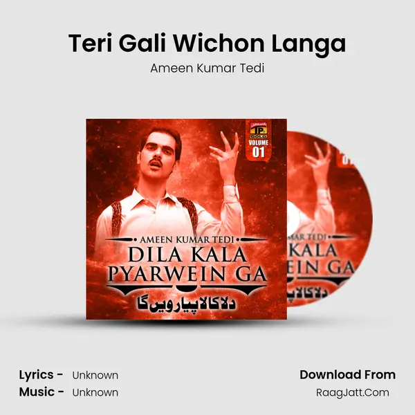 Teri Gali Wichon Langa MP3 Song by Ameen Kumar Tedi Cover