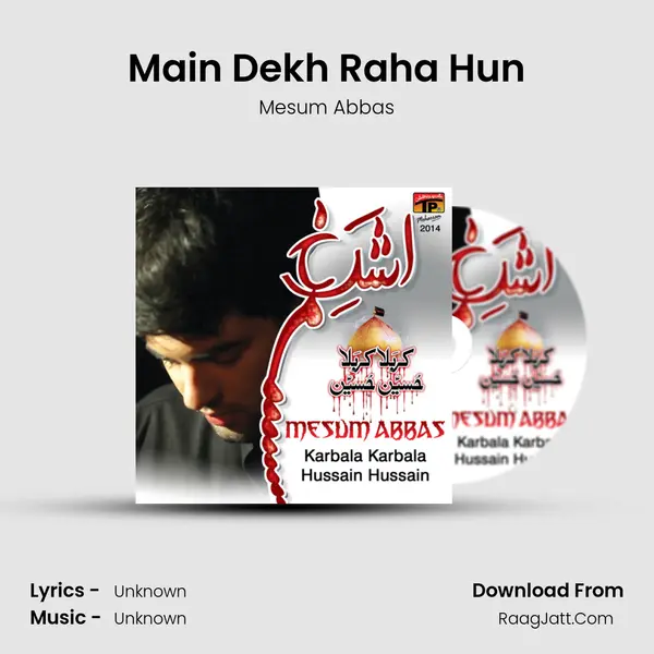 Main Dekh Raha Hun MP3 Song by Mesum Abbas Cover