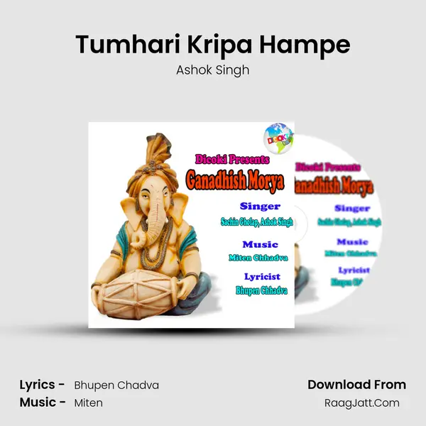 Tumhari Kripa Hampe MP3 Song by Ashok Singh Cover