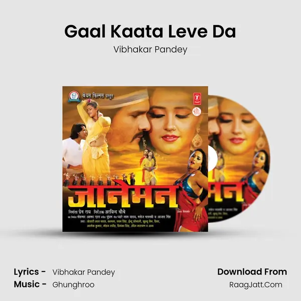 Gaal Kaata Leve Da MP3 Song by Vibhakar Pandey Cover