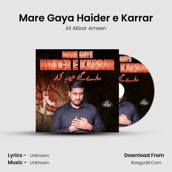Mare Gaya Haider e Karrar mp3 song