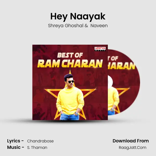 Hey Naayak Cover