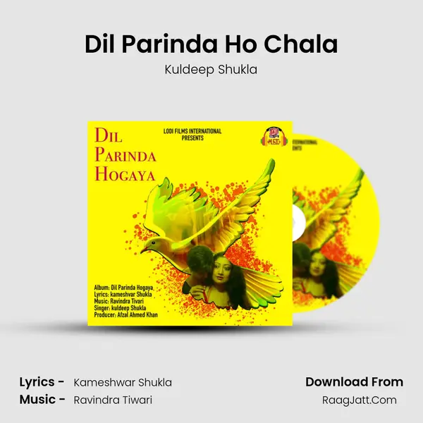 Dil Parinda Ho Chala mp3 song