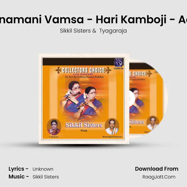 Dinamani Vamsa - Hari Kamboji - Adi (Live) mp3 song