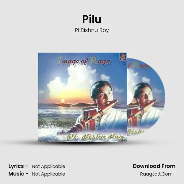 Pilu MP3 Song by Pt.Bishnu Roy Cover