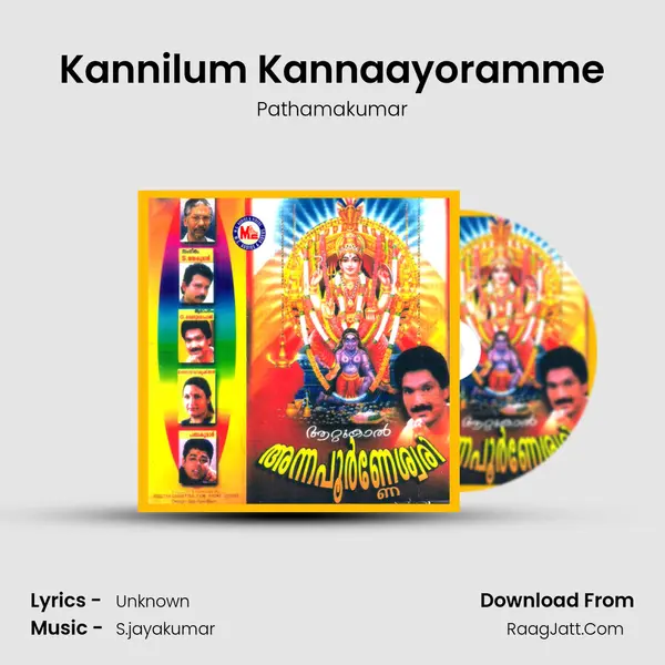 Kannilum Kannaayoramme mp3 song