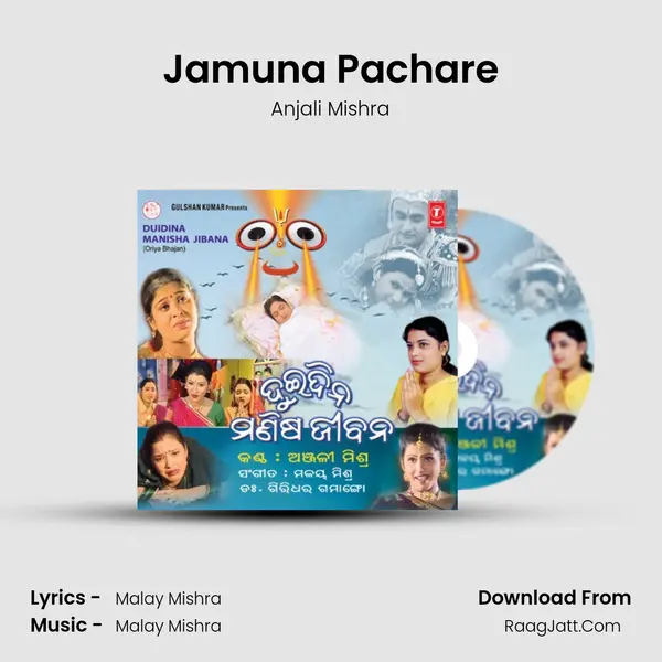 Jamuna Pachare MP3 Song by Anjali Mishra Cover