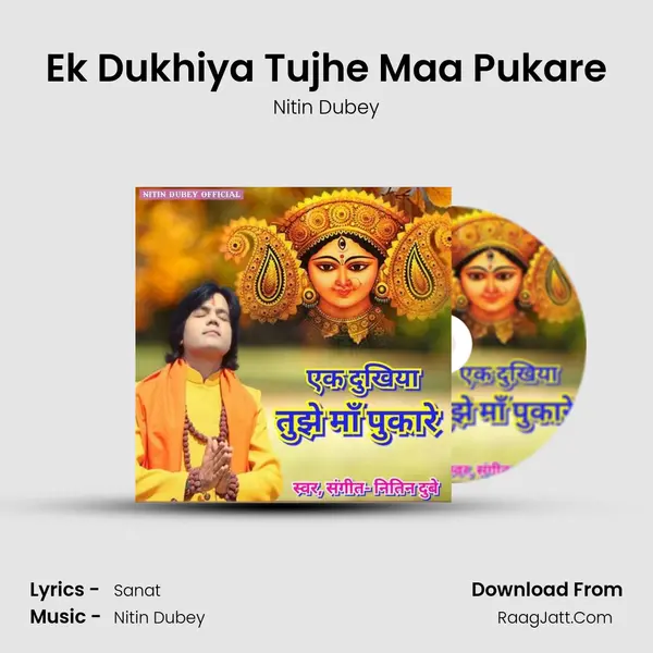 Ek Dukhiya Tujhe Maa Pukare - Nitin Dubey