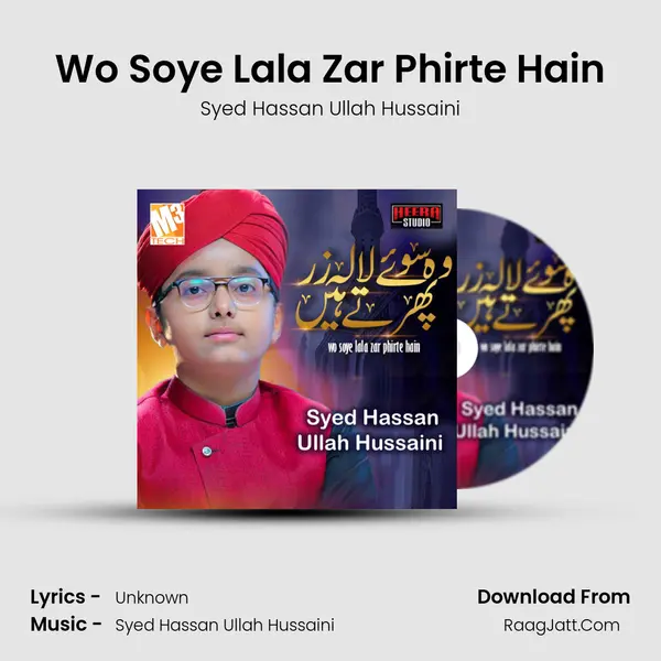 Wo Soye Lala Zar Phirte Hain mp3 song