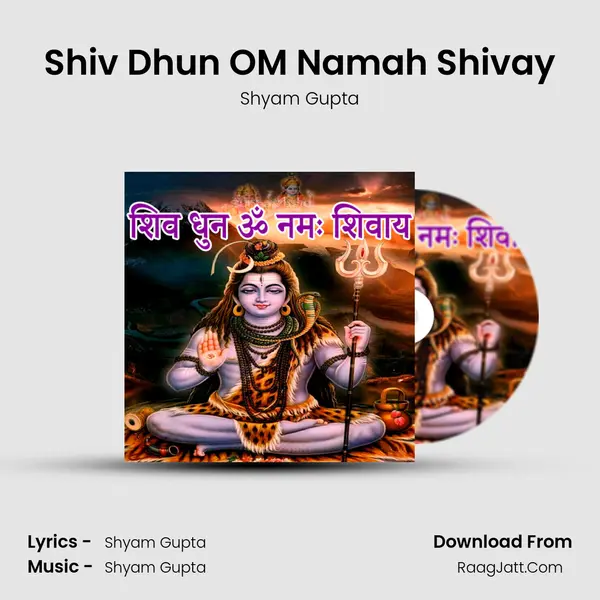 Shiv Dhun OM Namah Shivay Cover