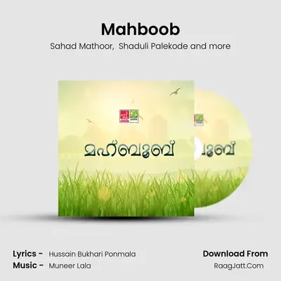 Mahboob MP3 Song by Sahad Mathoor Cover
