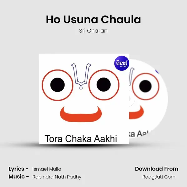 Ho Usuna Chaula MP3 Song by Sri Charan Cover